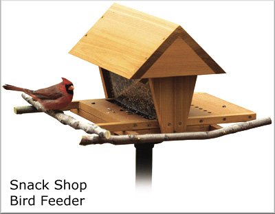 Bird Feeder Plans