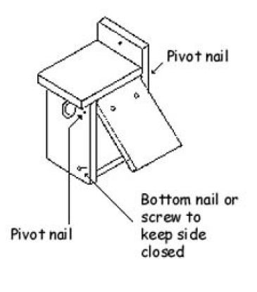 Bluebird House Plans