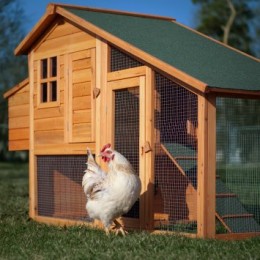 Chicken Coops