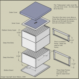 Bee hive plans