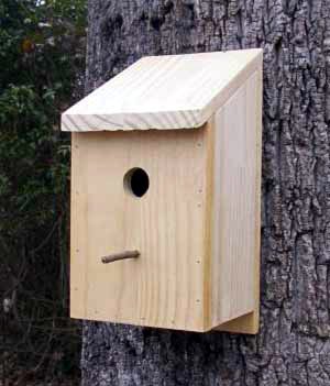 Bird house plans Bird house plans