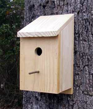 Bird house plans