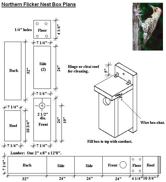 Bird house plans